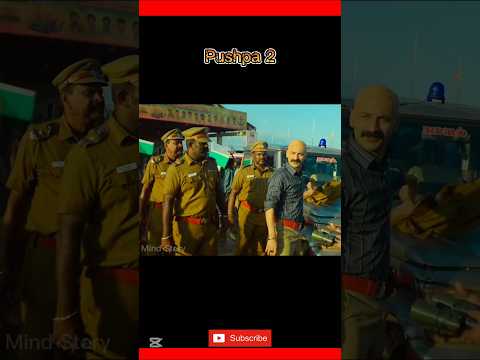 ✨Lal chondon Srilanka border par kore🤠|Pushpa2💥||(part-10)#shorts #viralvideo #movie #entertainment
