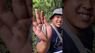28 Juli 2025/ "Fishing in a Tiny River – Tropical Fish of Indonesia!"‼️ fishing videos