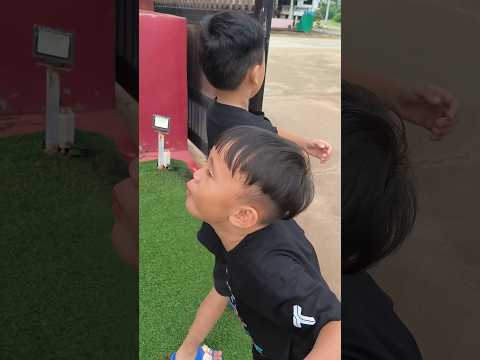 เสียงอะไร? #chalhamwhal #funny #ฉลามวาฬแฟมิลี่ #โบ๊ะบ๊ะshorts #family #ตลก #คลายเครียด  #shortsfeed