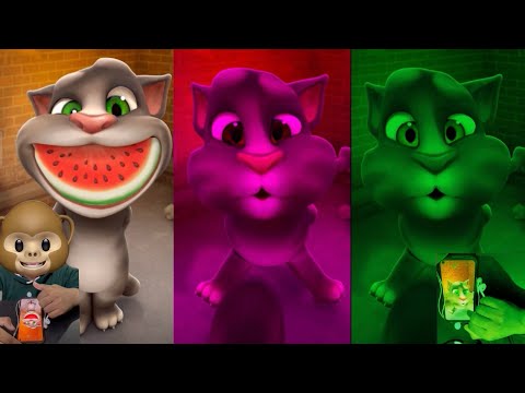 Talking tom cat gameplay ( Part 316 )