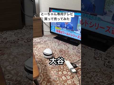 TikTokで500万再生された動画。実家から遠隔操作されてます。#ペットカメラ #ロボとーちゃん #一人暮らし #見守りカメラ