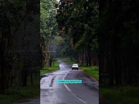 Wayanad Kerala | Roads, Fog Aur Rain Ka Asli Adventure ๐