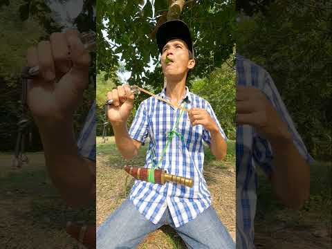 #entertainment #birdsounds #shorts