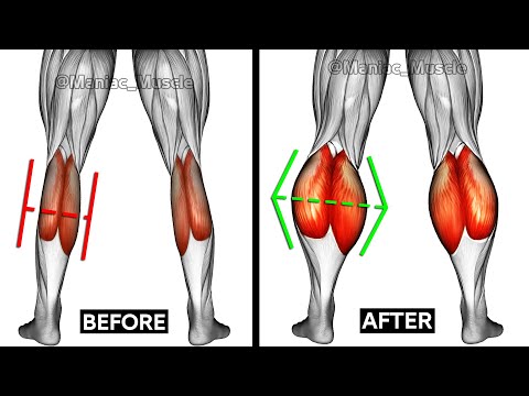 9 Best Calf Exercises You Can Do to Get Big Calves Workout
