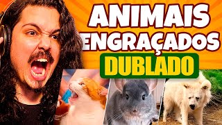 OS VÍDEOS MAIS ENGRAÇADOS DE ANIMAIS | DUBLADO!