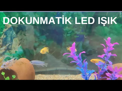 AKVARYUM LED AYDINLATMA SLİKONLU LED İLE