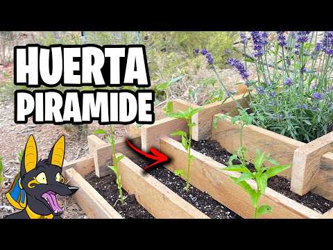 Necesitas este HUERTO en CASA!! 🍅 Crea una Huerta Pirámide Paso a Paso | La Huerta de Ivan