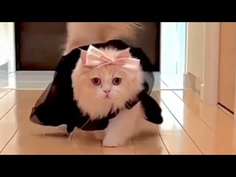 2024 new animal and bird cutest video #animal #bird #2024