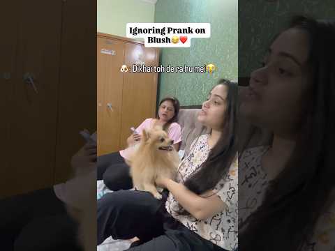 Ignore prank on my dog😂❤️#viral #viralshorts #viralvideo #dog #puppy #trending #ytshorts #ytviral