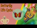 Exploring the Butterfly Life Cycle