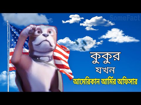 কুকুর যখন আমেরিকান আর্মির অফিসার। When the dog is an American army officer