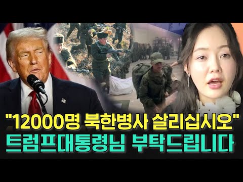 트럼프대통령님 총알받이로 끌려 간 북한병사12000명 제발 살려주세요