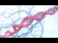 Huntington's Disease Overview and Genetics
