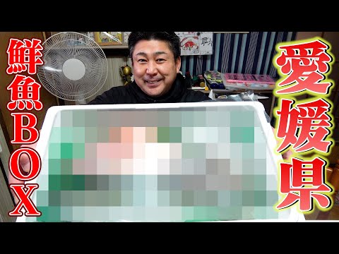 【愛媛BOX】○と○○○がBOX動画でNo.1の美味しさでした！