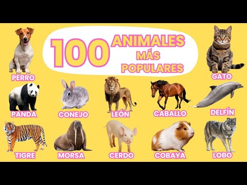 100 Animales Más Populares del Mundo 🌎 | Vídeo para niños | ¡Aprende los Nombres de Animales!