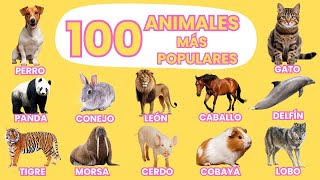 100 Animales Más Populares del Mundo 🌎 | Vídeo para niños | ¡Aprende los Nombres de Animales!