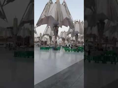 Umbrella ☂️ Opening Beautiful ❤ View from Madina | Masjid Al Nabvi (S.A.W)