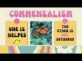 Exploring Commensalism in Symbiotic Relationships