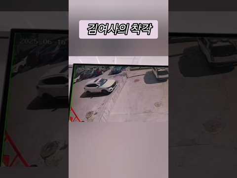 김여사의 중대한 착각