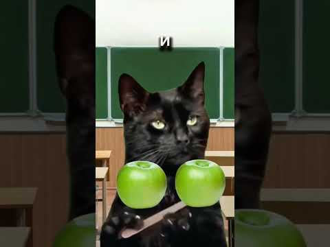МОЙ уровень МАТЕМАТИКИ #рек #youtube #рекомендации #популярное #а4 #юмор