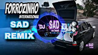 FORROZINHO INTERNATIONAL SAD REMIX- Billie Eilish - BIRDS OF A FEATHER , EM ALTA QUALIDADE ,PAREDÃO💥