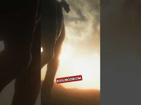 😱Ale jak to możliwe???