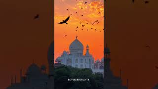 Haaye ve mereya daandeya rabba ✨💓 |Love Lyrics |Aesthetic Shorts lyrics| #lyrics #shorts #lyricssong
