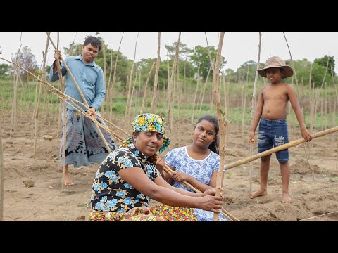 Traditional Lake Fish recipe. A simple snack that we hardworking people make. village kitchen recipe