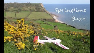 Springtime Buzz