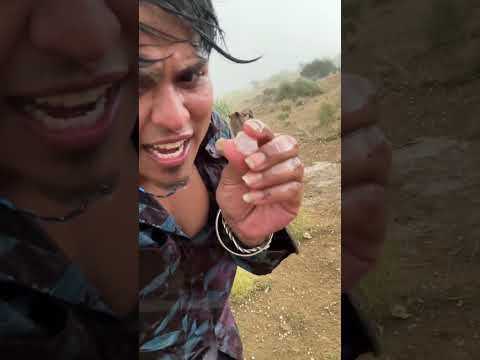 Panikatti malai😅