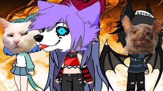 The alpha marked the tomboy i guess