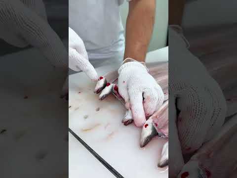 創業158年の老舗うなぎ屋#大阪グルメ#japanesefood