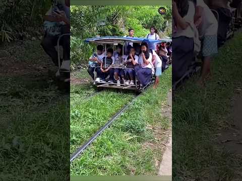 কম্বোডিয়ার বাচ্চারা কিভাবে স্কুলে যায় দেখুন | bamboo train