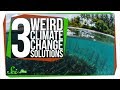 Renewable Energy and Carbon Reduction