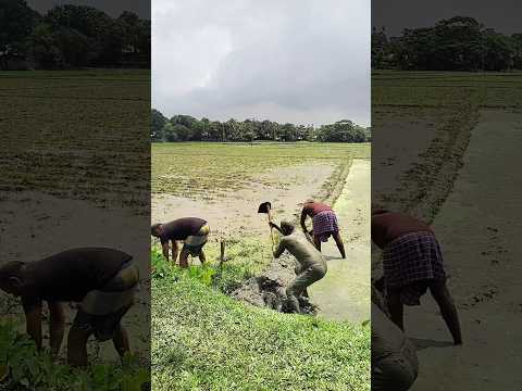মূর্তি সেজে কিভাবে দুষ্টামি করে দেখেন #funny #shorts #trending #foryou #subscribe