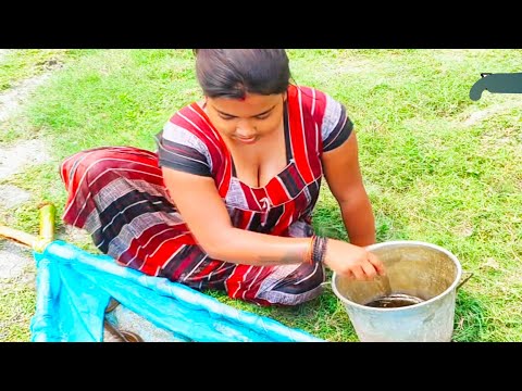 Women fishing || Incredible Net Fishing by Village Women || Indian Women Net Fishing in the River