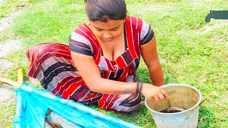 Women fishing || Incredible Net Fishing by Village Women || Indian Women Net Fishing in the River