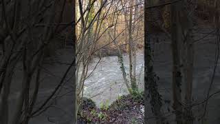 Nette Hochwasser Januar 2025