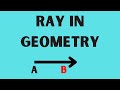 Understanding Rays and Vectors