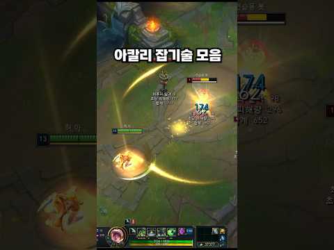 아칼리 잡기술 모음