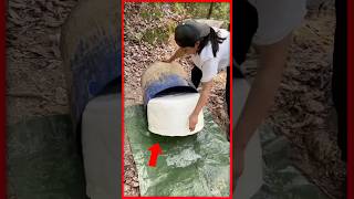 What Is The Soft White Jelly Comming From The Tree🤯🤯 #youtubeshorts #yt #diy
