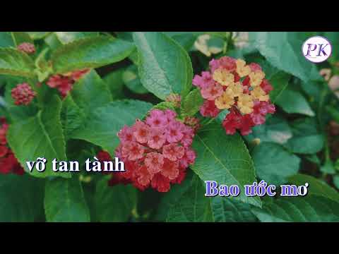 Karaoke Mưa Lạnh Tàn Canh – Tone Nam – Quốc Dân Karaoke