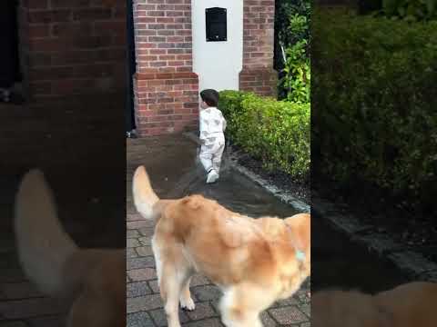 Benjamín se escapó y se fue a meter al agua 😱 #enzofernandez #valucervantez #benjafernandez