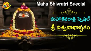 Vishwanathashtakam | శ్రీ విశ్వనాథాష్టకం | Maha Shivaratri 2025 | Lord Shiva Songs | TVNXTDevotional