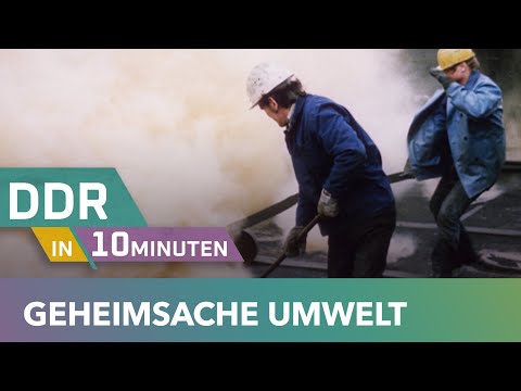 Abgas, Kohle & Chemie · Umweltschutz und Umweltschmutz in der DDR | DDR in 10 Minuten | MDR DOK