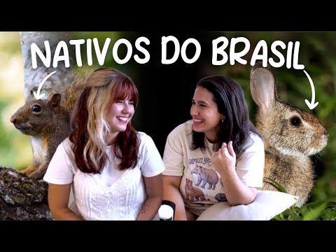 Animais Que Existem no Brasil e Você Não Sabia feat. @UniNarwhal