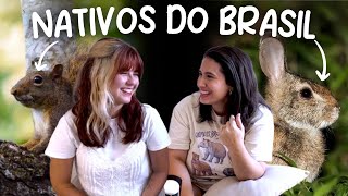 Animais Que Existem no Brasil e Você Não Sabia feat. @UniNarwhal