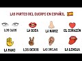 Exploring Body Parts in Spanish
