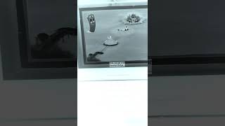 Map Season 4 Episode 22 Dora Saves The Mermaids in Reversed
