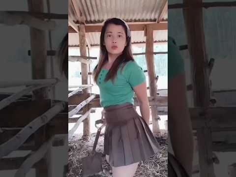 mau ketawa takut dosa video lucu bikin ngakak hiburan warga+62 viral video funny videos funny shorts